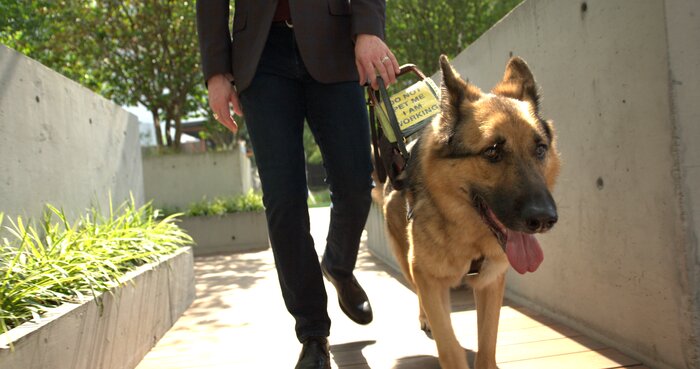 Chad E Foster walking with guide dog past corporate building, demonstrating urban mobility